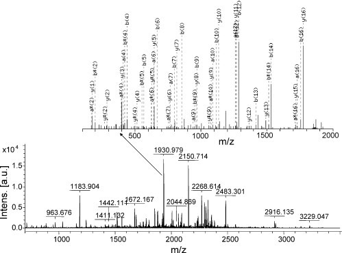 Fig. 3