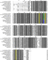 FIG. 5.