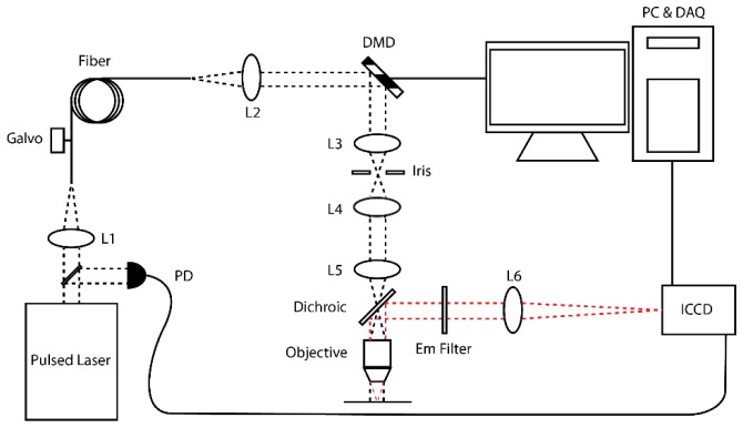 Fig. 1