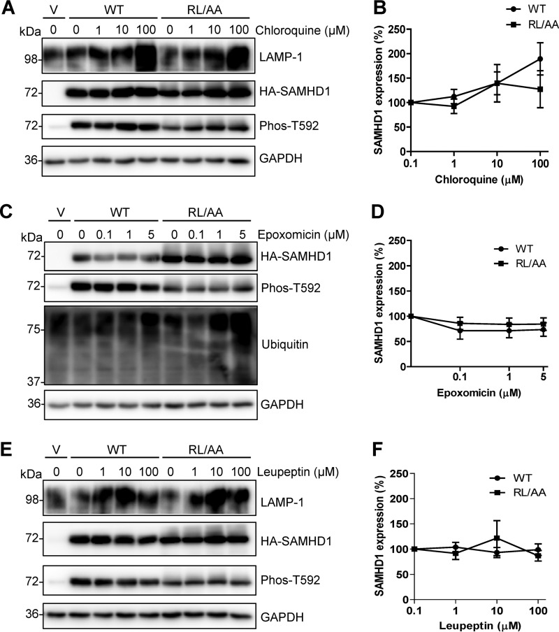 FIG 4