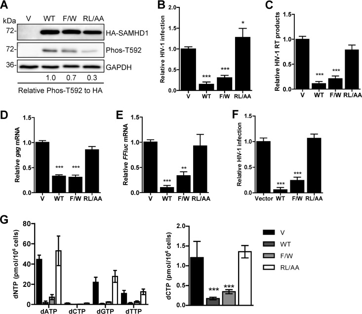 FIG 1