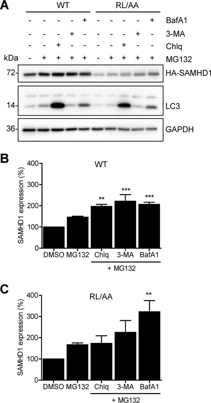 FIG 6