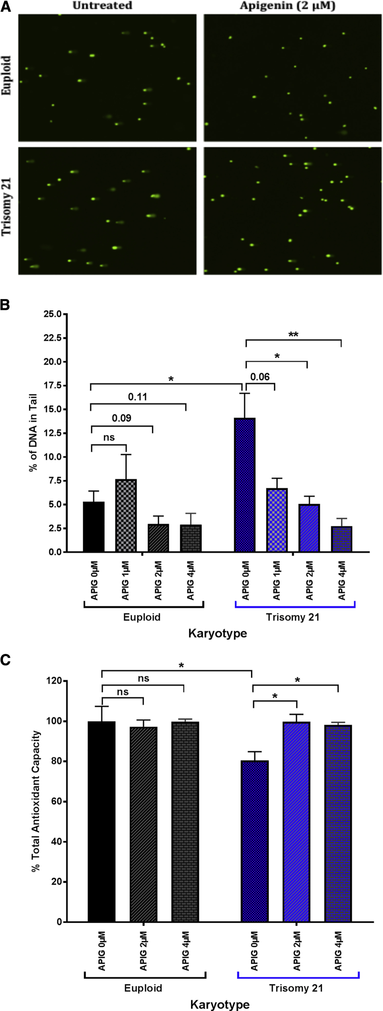 Figure 1