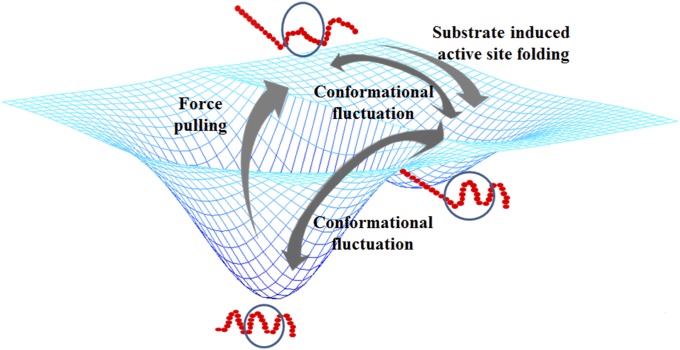 Fig. 7.