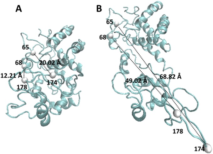 Fig. S5.