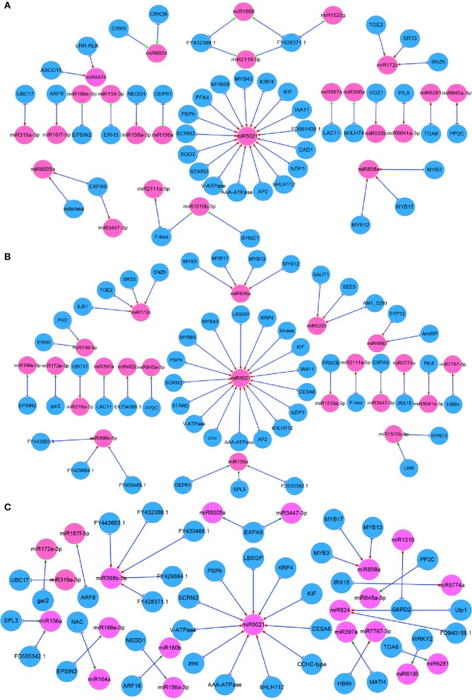 Figure 5