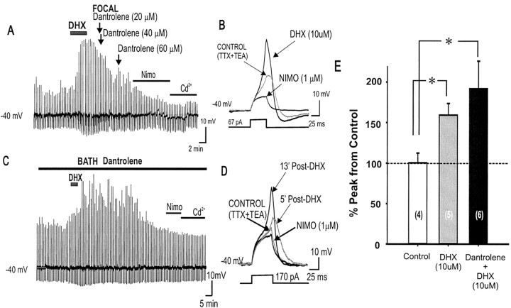 
Figure 11.
