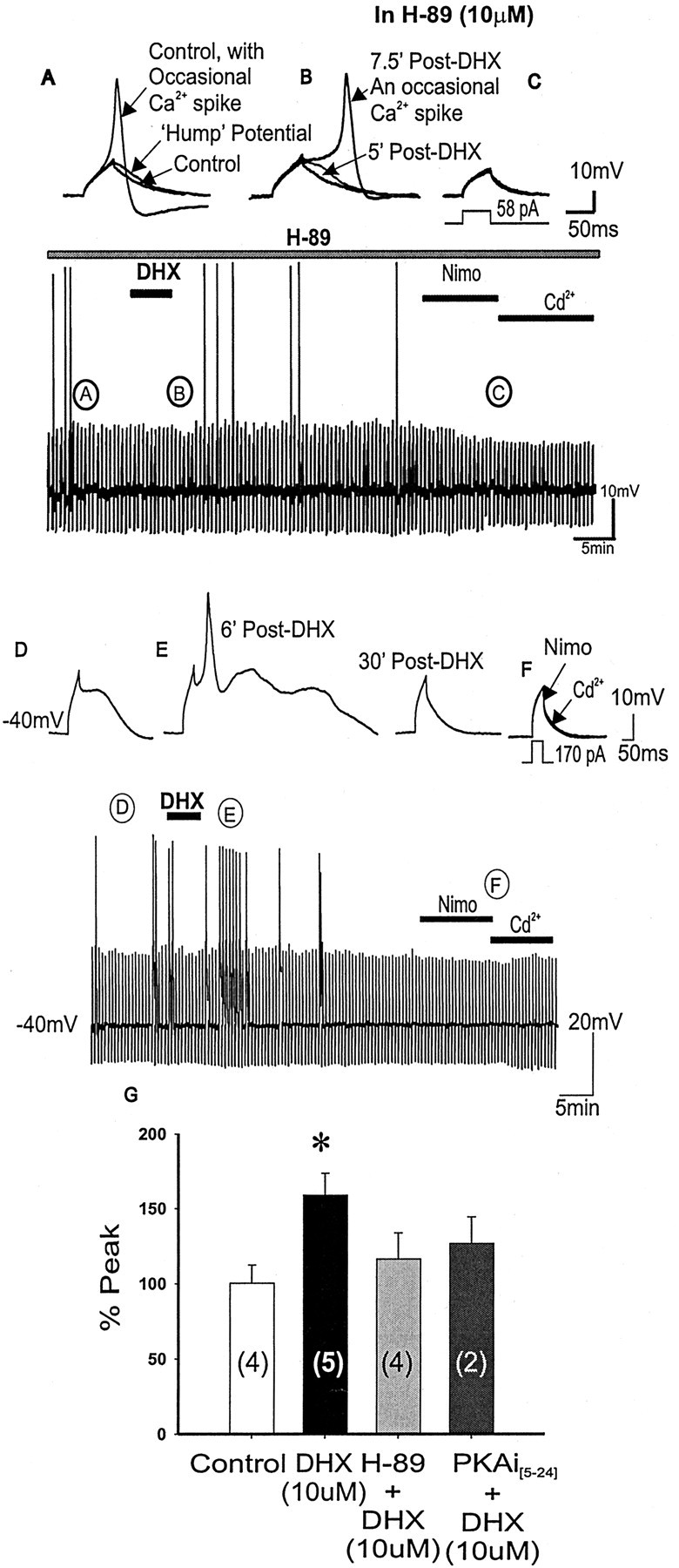 
Figure 12.
