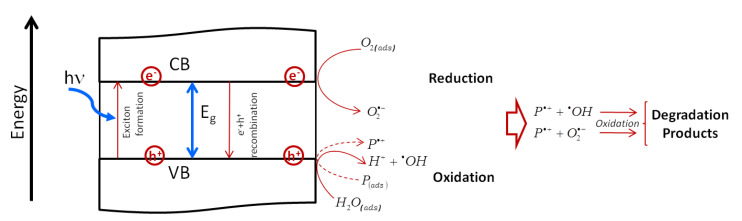 Figure 19