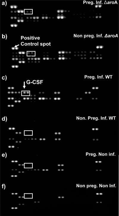 FIG. 4.