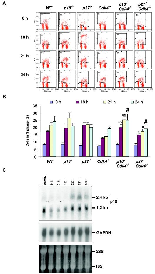 FIG. 7.