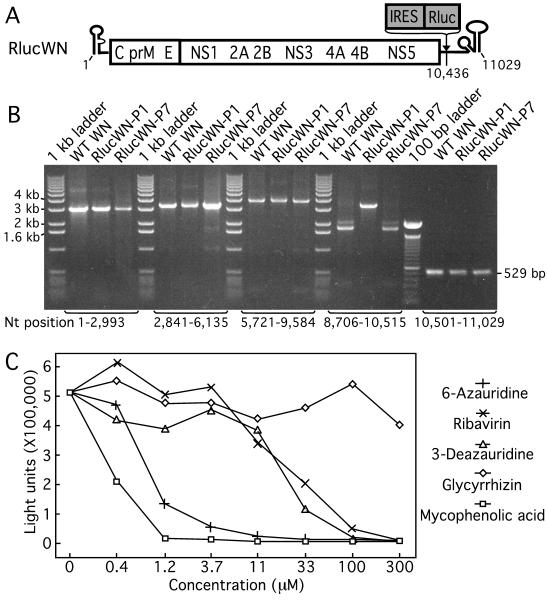 FIG. 3.