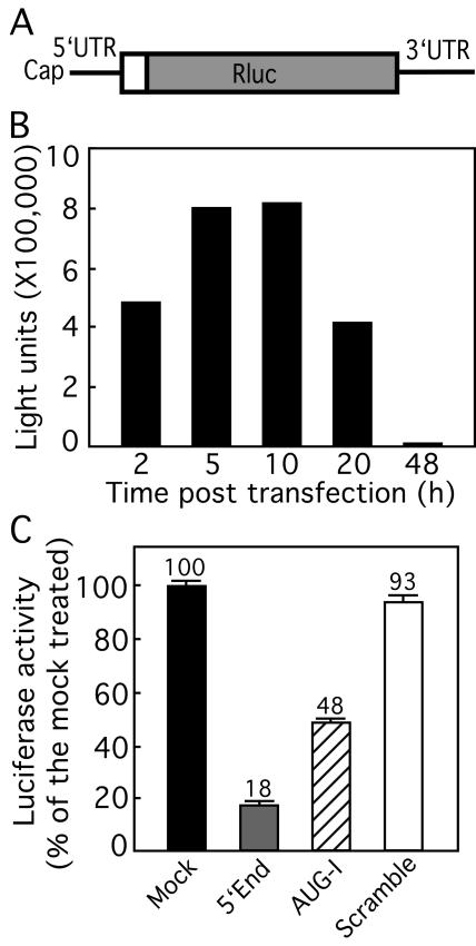 FIG. 7.