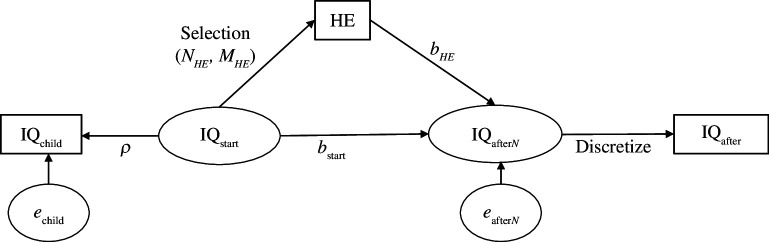 The model. Variables in rectangles are observed.