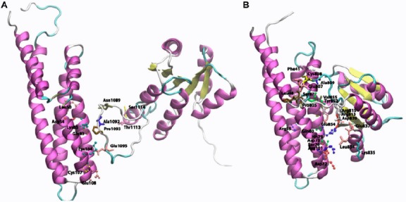 Figure 9.