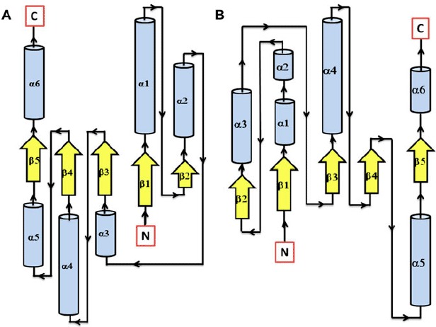 Figure 5.