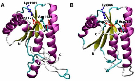 Figure 6.