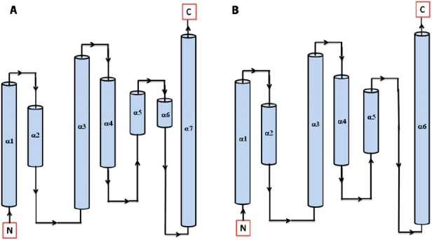 Figure 7.