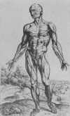 1097