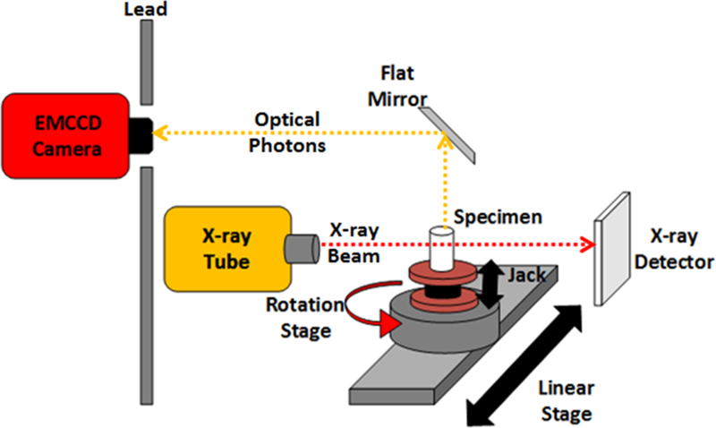 Figure 1.