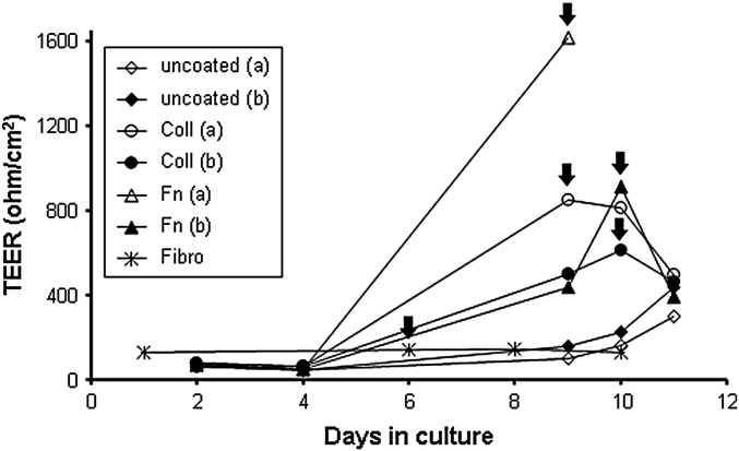 Fig. 5