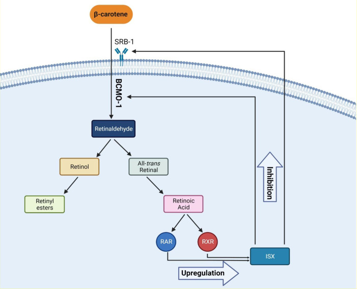 Figure 2
