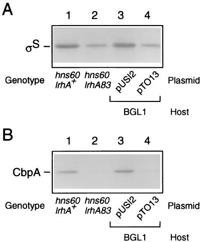 FIG. 5