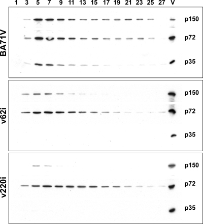 FIG. 8.