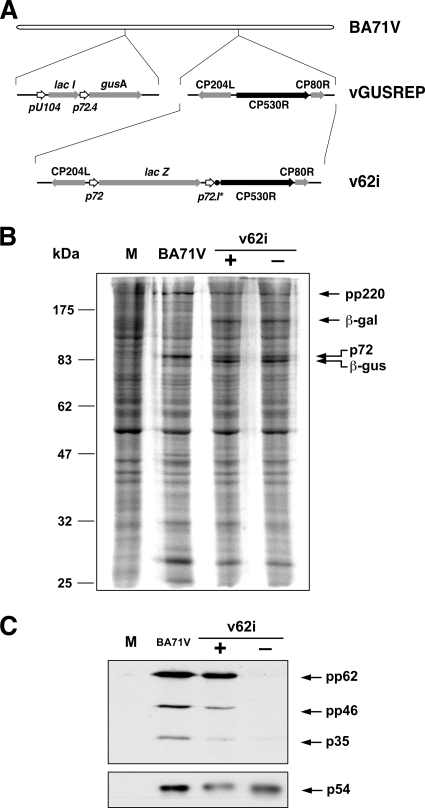 FIG. 1.