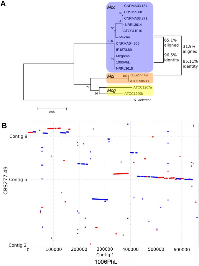 FIG 2 