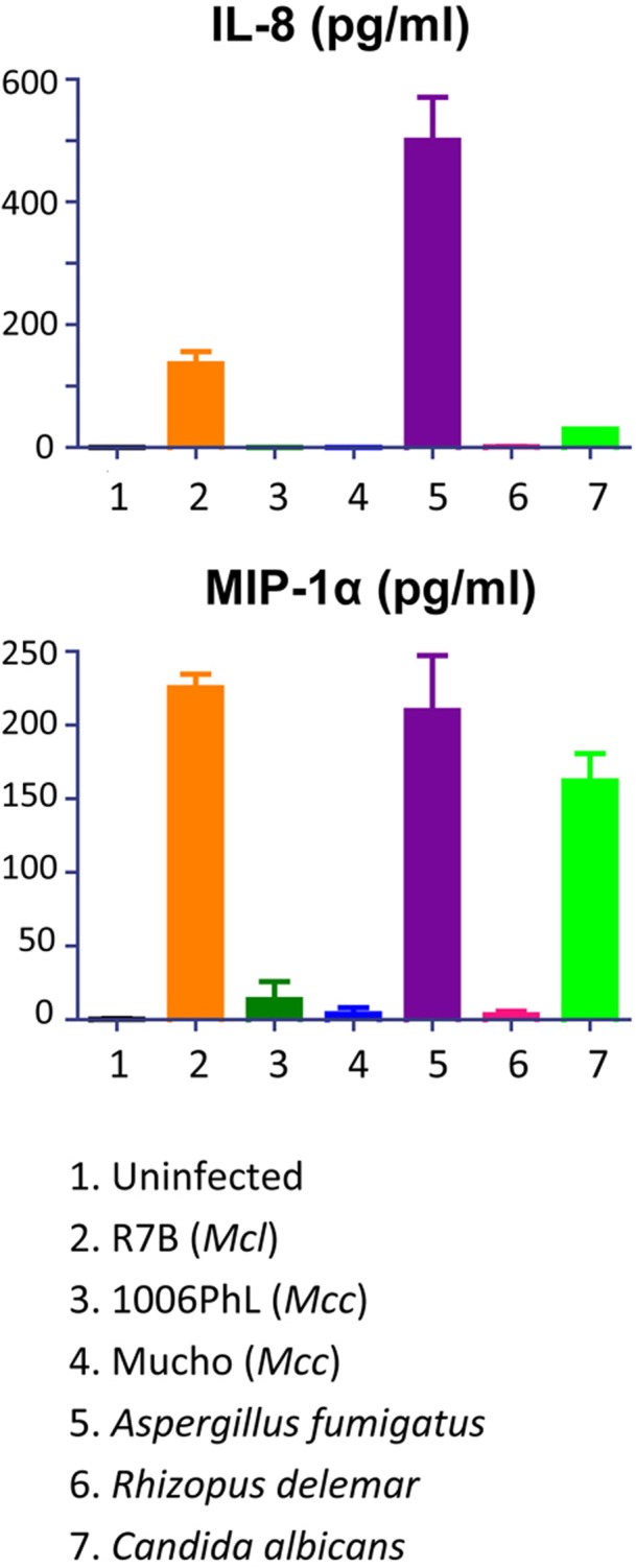 FIG 6 