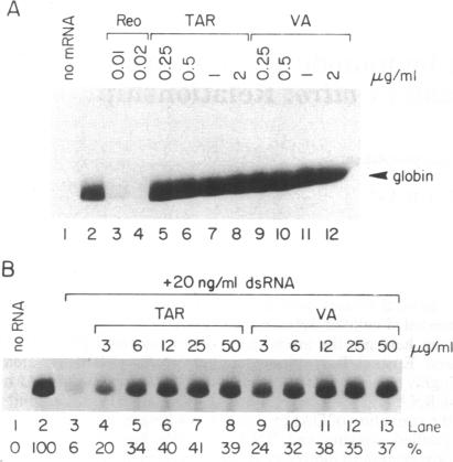 graphic file with name pnas01097-0461-a.jpg