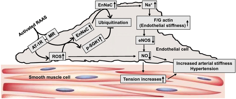 Fig 1.