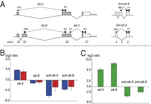 Fig. 3.