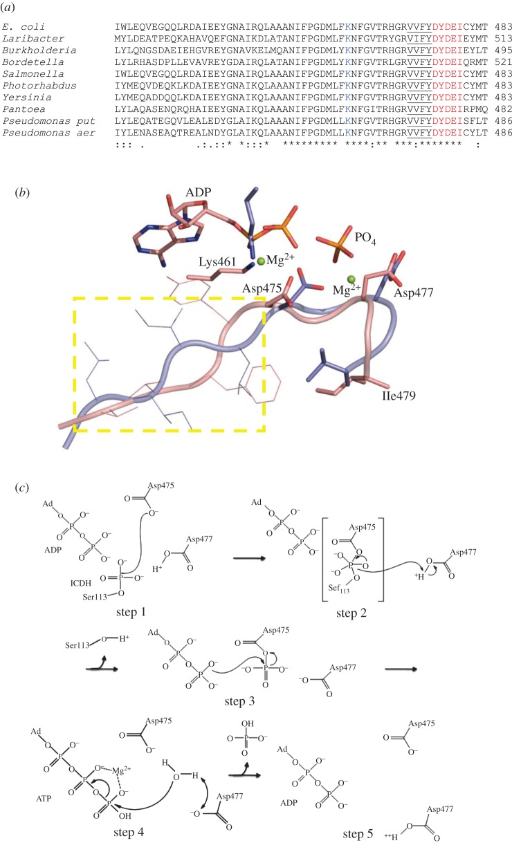 Figure 4.