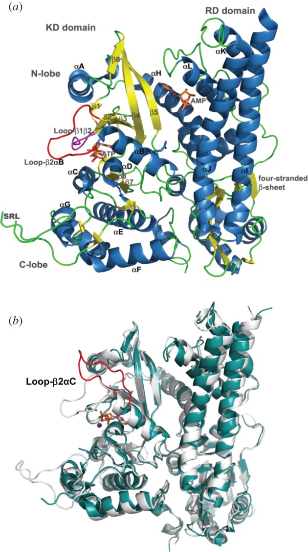 Figure 2.