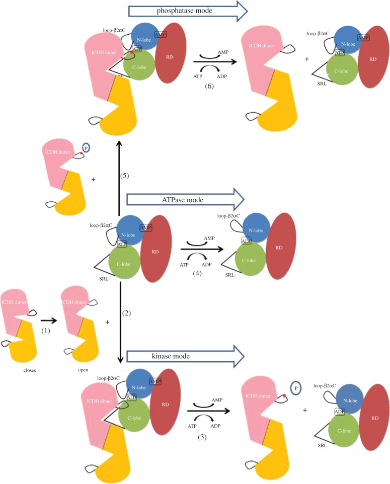 Figure 6.