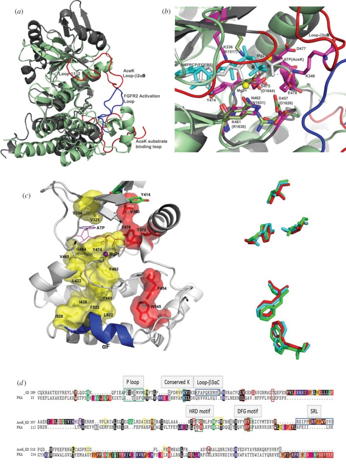 Figure 3.