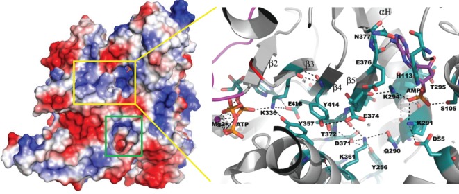 Figure 5.