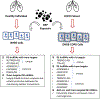 Figure 7: