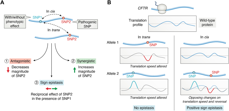 Figure 4