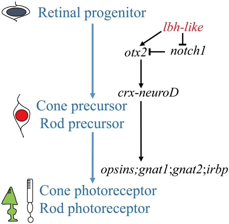 Figure 9