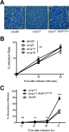 FIG 4