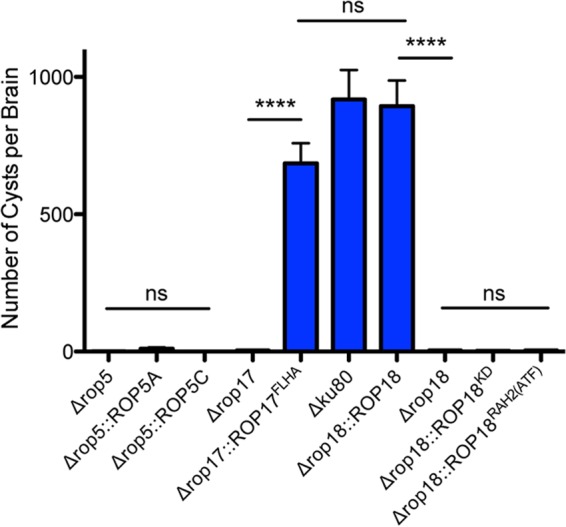 FIG 3 