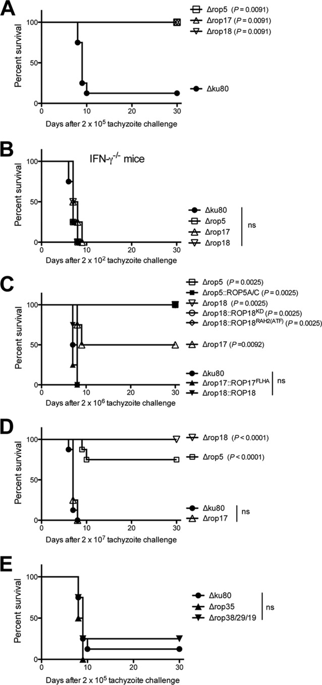 FIG 6 