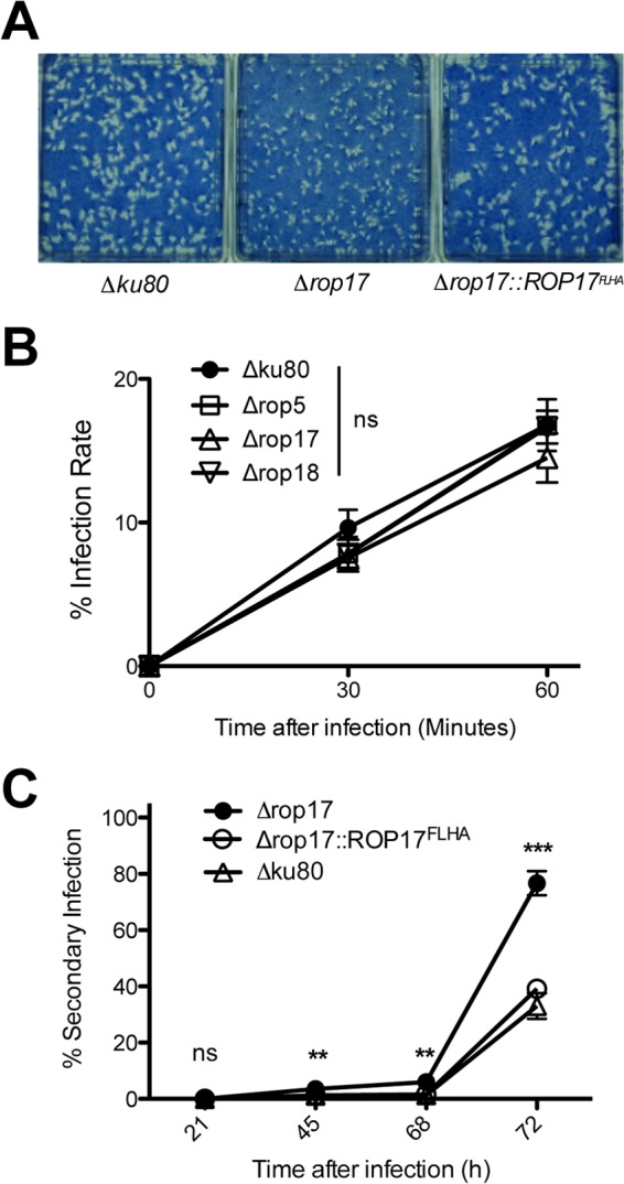 FIG 4 