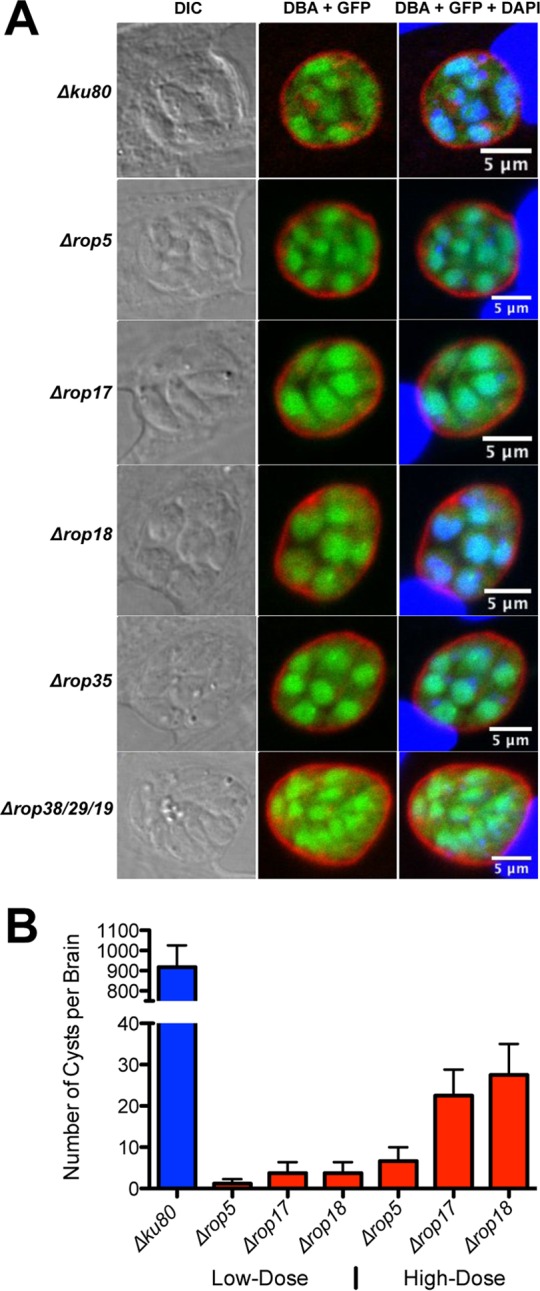 FIG 2 