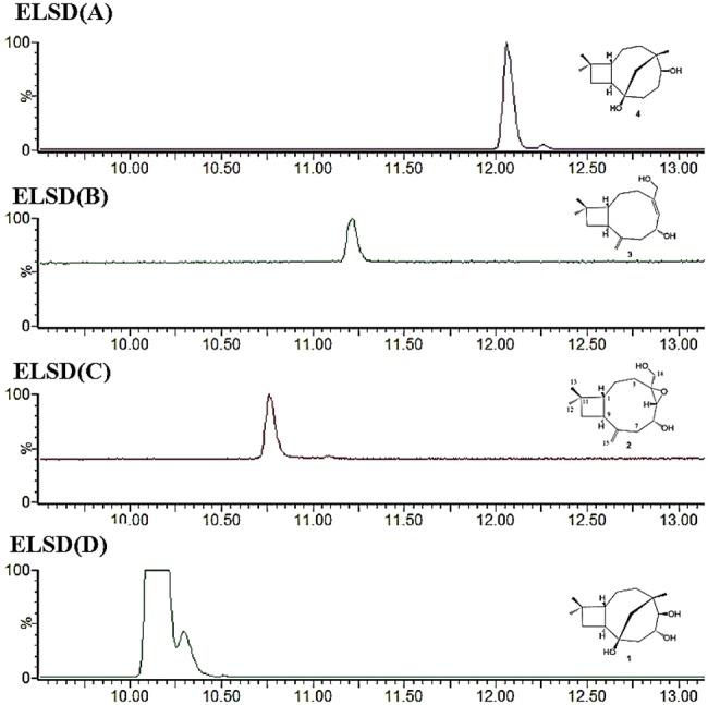 Fig. 6