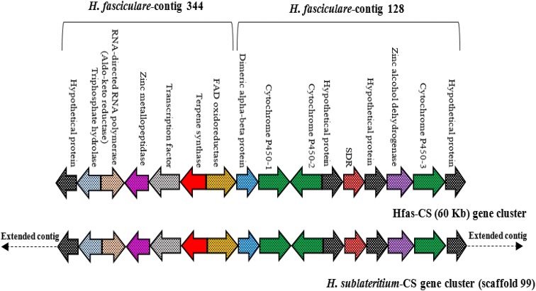 Fig. 4