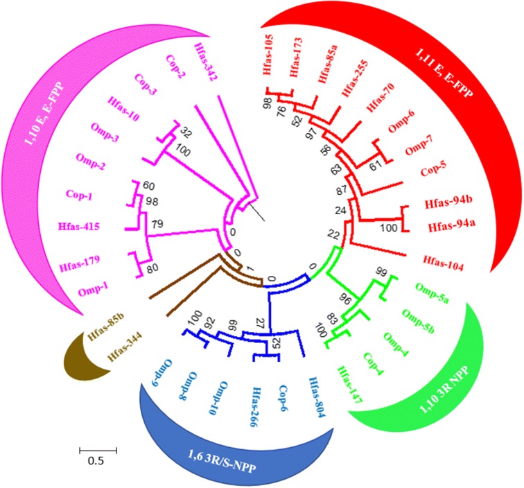 Fig. 1